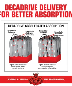 Amino Decanate (370gr) - Musclemeds - Image 5