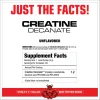 Creatine Decanate - 300GR - Musclemeds – Image 2
